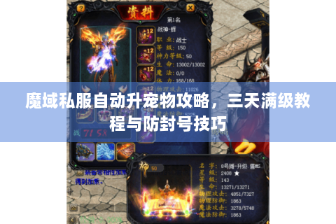 魔域私服自动升宠物攻略，三天满级教程与防封号技巧