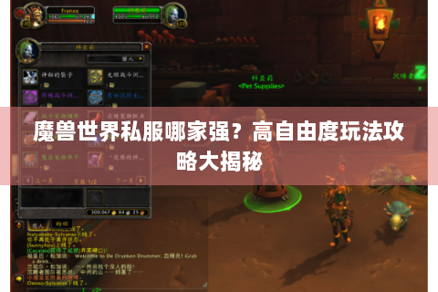 魔兽世界私服哪家强？高自由度玩法攻略大揭秘