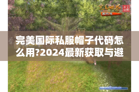 完美国际私服帽子代码怎么用?2024最新获取与避坑指南