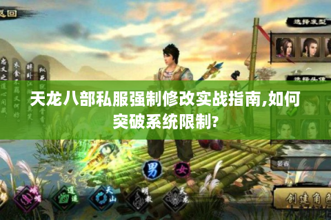天龙八部私服强制修改实战指南,如何突破系统限制?