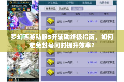 梦幻西游私服5开辅助终极指南，如何避免封号同时提升效率？