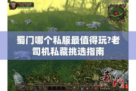 蜀门哪个私服最值得玩?老司机私藏挑选指南