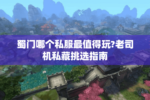 蜀门哪个私服最值得玩?老司机私藏挑选指南