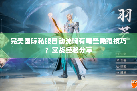 完美国际私服自动洗髓有哪些隐藏技巧？实战经验分享