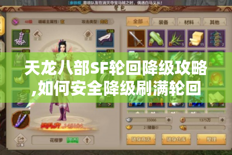 天龙八部SF轮回降级攻略,如何安全降级刷满轮回属性