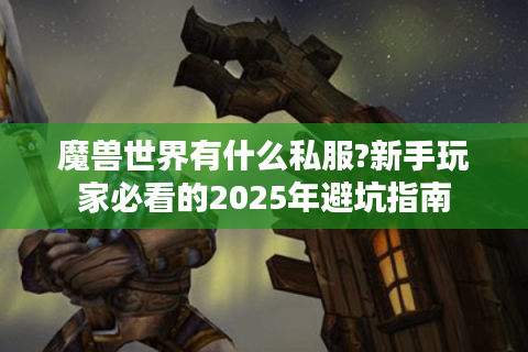 魔兽世界有什么私服?新手玩家必看的2025年避坑指南