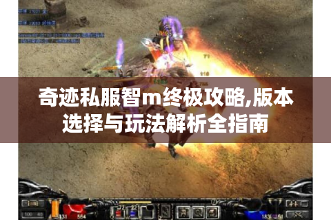 奇迹私服智m终极攻略,版本选择与玩法解析全指南