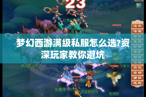梦幻西游满级私服怎么选?资深玩家教你避坑