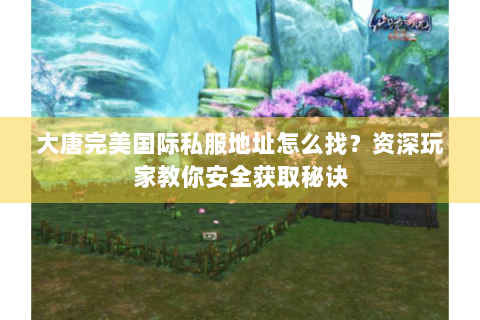 大唐完美国际私服地址怎么找？资深玩家教你安全获取秘诀