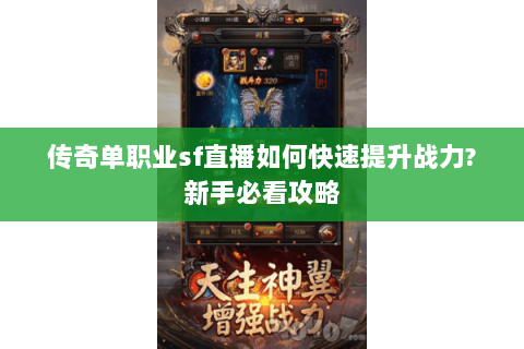 传奇单职业sf直播如何快速提升战力?新手必看攻略