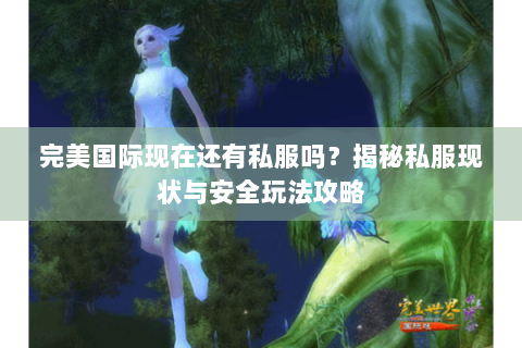 完美国际现在还有私服吗？揭秘私服现状与安全玩法攻略