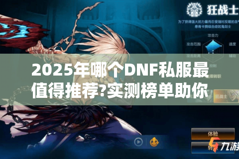 2025年哪个DNF私服最值得推荐?实测榜单助你避坑