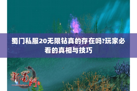 蜀门私服20无限钻真的存在吗?玩家必看的真相与技巧