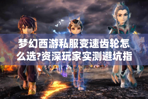 梦幻西游私服变速齿轮怎么选?资深玩家实测避坑指南
