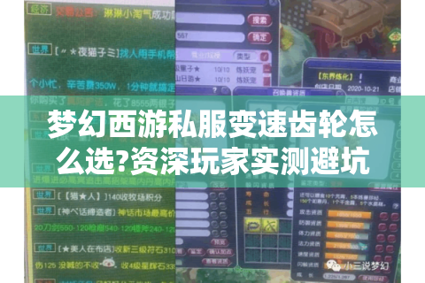 梦幻西游私服变速齿轮怎么选?资深玩家实测避坑指南