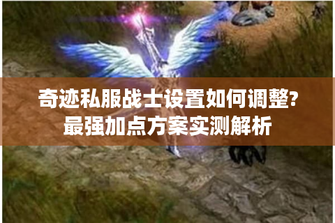 奇迹私服战士设置如何调整?最强加点方案实测解析
