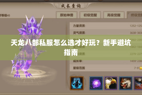 天龙八部私服怎么选才好玩？新手避坑指南