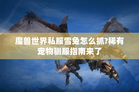 魔兽世界私服雪兔怎么抓?稀有宠物驯服指南来了