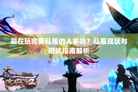 现在玩完美私服的人多吗？私服现状与避坑指南解析