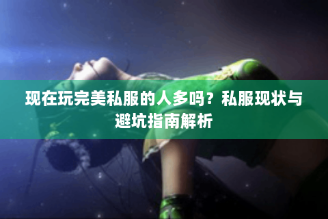 现在玩完美私服的人多吗？私服现状与避坑指南解析
