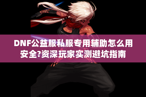 DNF公益服私服专用辅助怎么用安全?资深玩家实测避坑指南