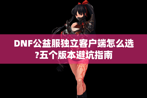 DNF公益服独立客户端怎么选?五个版本避坑指南