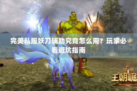完美私服妖刀辅助究竟怎么用？玩家必看避坑指南