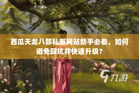 西瓜天龙八部私服网站新手必看，如何避免踩坑并快速升级？