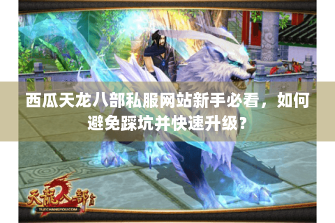 西瓜天龙八部私服网站新手必看，如何避免踩坑并快速升级？