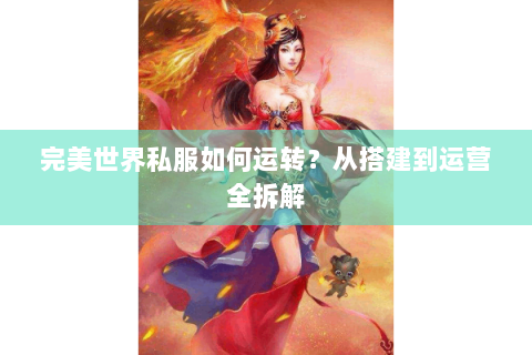 完美世界私服如何运转？从搭建到运营全拆解