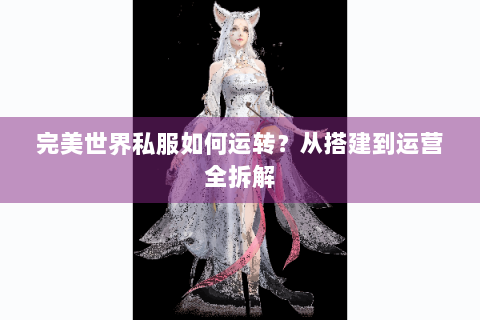 完美世界私服如何运转？从搭建到运营全拆解