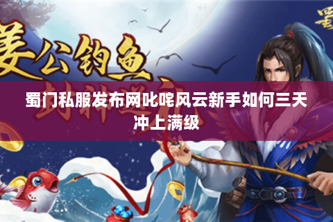 蜀门私服发布网叱咤风云新手如何三天冲上满级