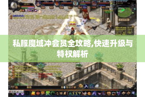 私服魔域冲会员全攻略,快速升级与特权解析