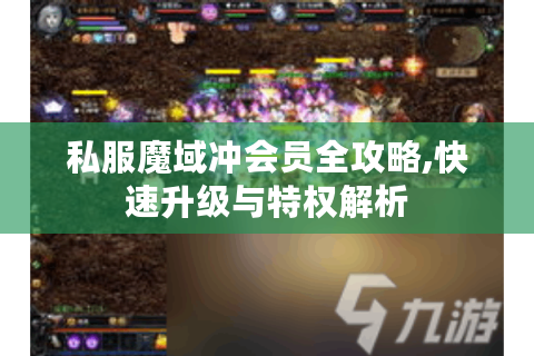 私服魔域冲会员全攻略,快速升级与特权解析