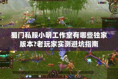 蜀门私服小明工作室有哪些独家版本?老玩家实测避坑指南