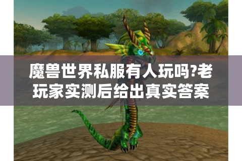 魔兽世界私服有人玩吗?老玩家实测后给出真实答案