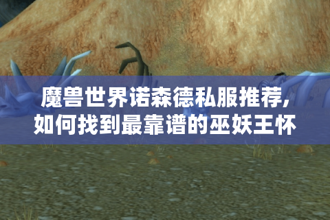 魔兽世界诺森德私服推荐,如何找到最靠谱的巫妖王怀旧服?