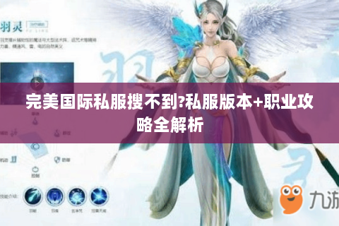 完美国际私服搜不到?私服版本+职业攻略全解析