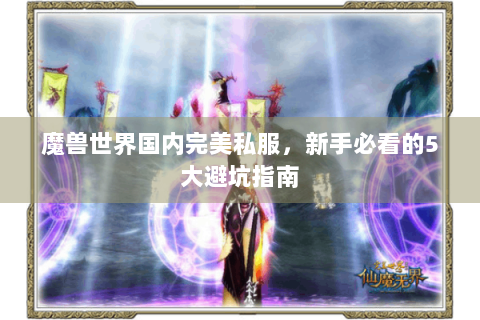 魔兽世界国内完美私服，新手必看的5大避坑指南