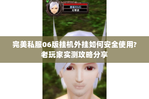 完美私服06版挂机外挂如何安全使用?老玩家实测攻略分享