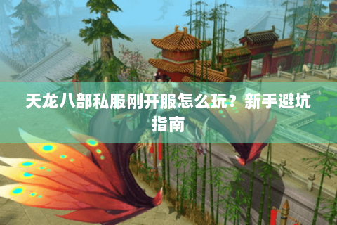 天龙八部私服刚开服怎么玩？新手避坑指南