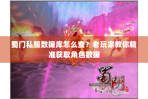 蜀门私服数据库怎么查？老玩家教你精准获取角色数据