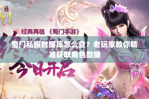 蜀门私服数据库怎么查？老玩家教你精准获取角色数据