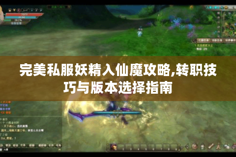 完美私服妖精入仙魔攻略,转职技巧与版本选择指南