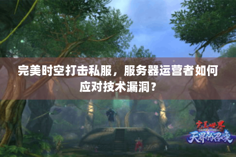 完美时空打击私服，服务器运营者如何应对技术漏洞？