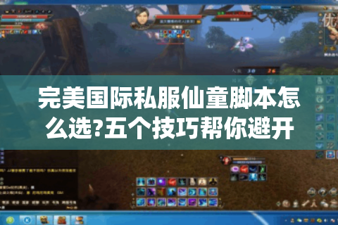 完美国际私服仙童脚本怎么选?五个技巧帮你避开坑