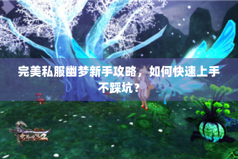完美私服幽梦新手攻略，如何快速上手不踩坑？