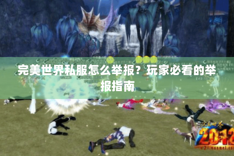 完美世界私服怎么举报？玩家必看的举报指南