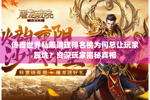 传奇世界私服清理排名榜为何总让玩家踩坑？资深玩家揭秘真相