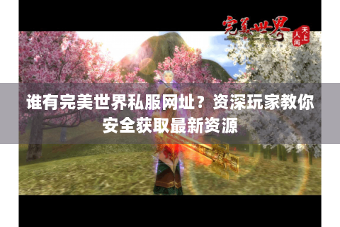 谁有完美世界私服网址？资深玩家教你安全获取最新资源